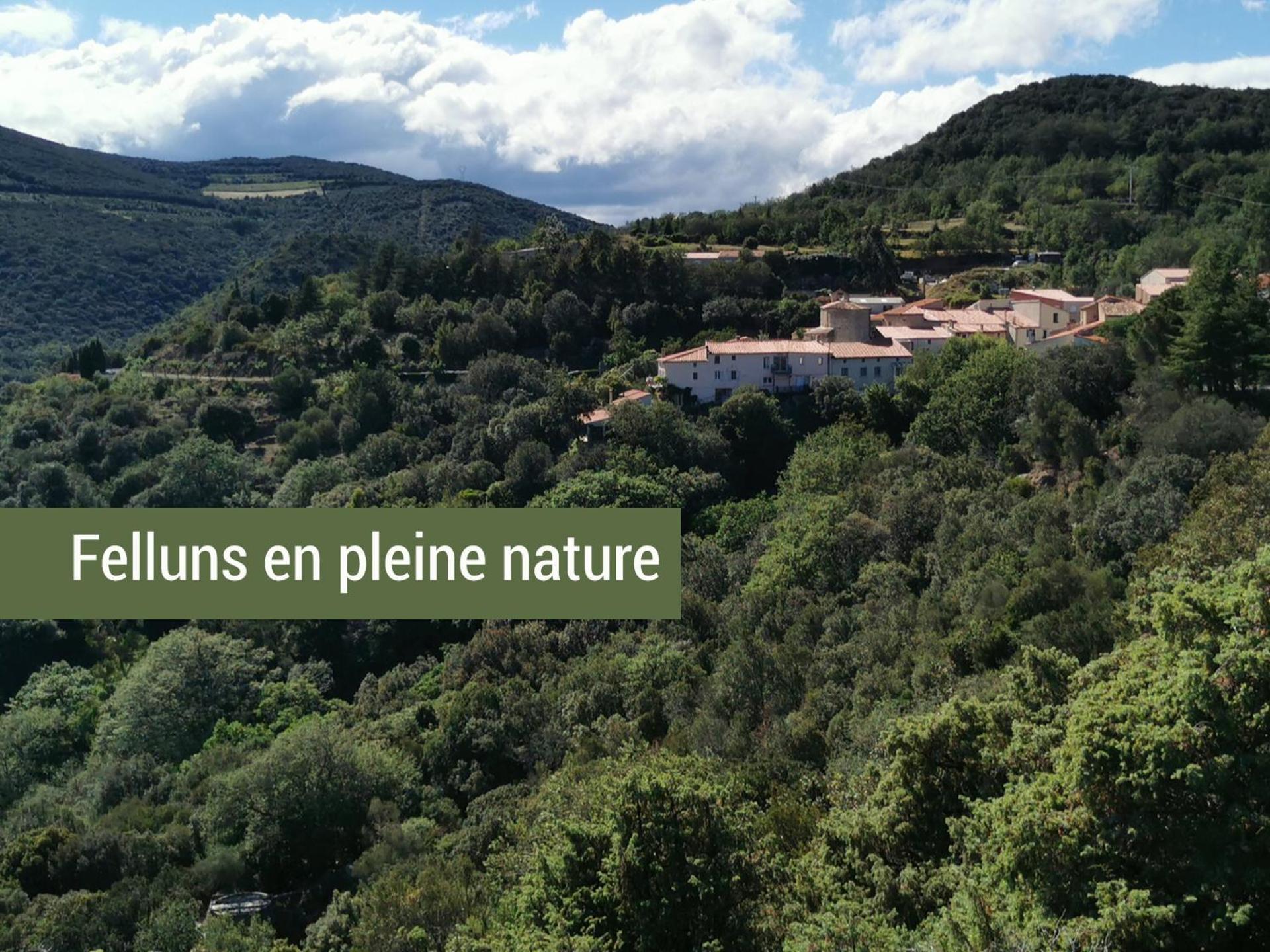 Pyrenees Mon Amour Felluns Exteriör bild